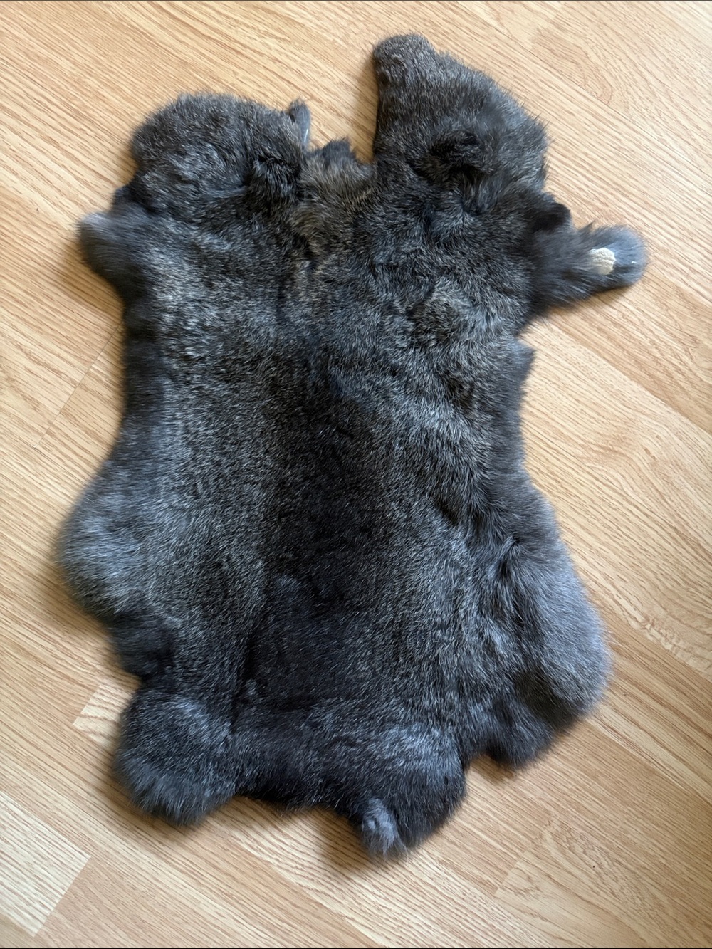 B0096 rabbit pelt